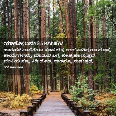 Picture 02 - ಯಾಕೋಬನು 3:5 KANIRV - ಹಾಗೆಯೇ ನಾಲಿಗೆಯು - Bible Verse Picture