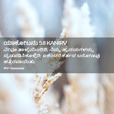 Picture 02 - ಯಾಕೋಬನು 5:8 KANIRV - ನೀವೂ - Bible Verse Picture