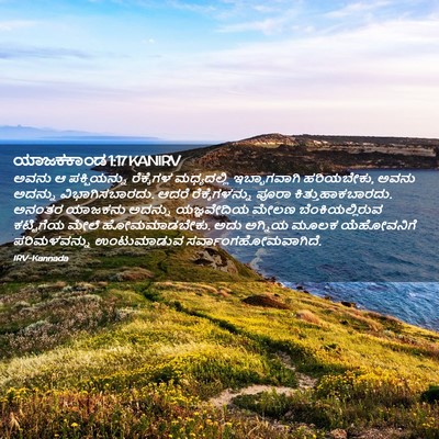 Picture 02 - ಯಾಜಕಕಾಂಡ 1:17 KANIRV - ಅವನು ಆ ಪಕ್ಷಿಯನ್ನು - Bible Verse Picture