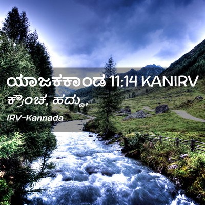 Picture 02 - ಯಾಜಕಕಾಂಡ 11:14 KANIRV - ಕ್ರೌಂಚ, - Bible Verse Picture