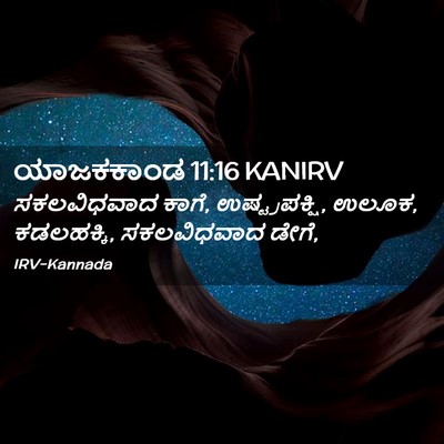Picture 02 - ಯಾಜಕಕಾಂಡ 11:16 KANIRV - ಸಕಲವಿಧವಾದ ಕಾಗೆ, - Bible Verse Picture