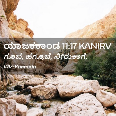Picture 02 - ಯಾಜಕಕಾಂಡ 11:17 KANIRV - ಗೂಬೆ, ಹೆಗ್ಗೂಬೆ, - Bible Verse Picture
