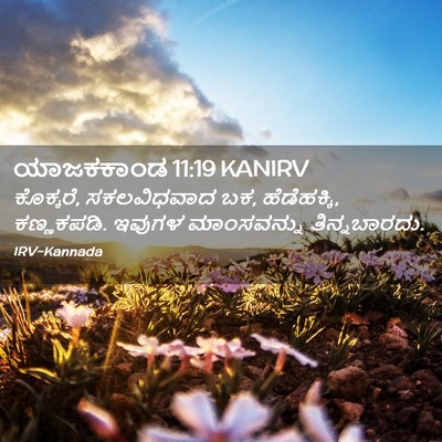 Picture 02 - ಯಾಜಕಕಾಂಡ 11:19 KANIRV - ಕೊಕ್ಕರೆ, - Bible Verse Picture