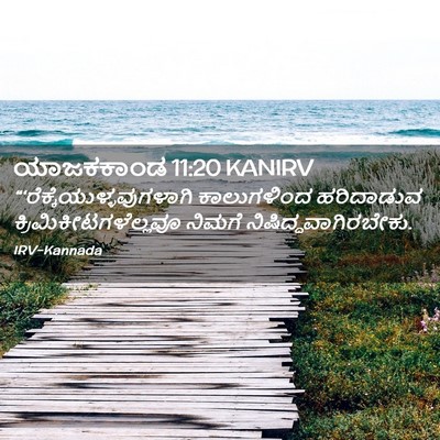 Picture 02 - ಯಾಜಕಕಾಂಡ 11:20 KANIRV -  - Bible Verse Picture