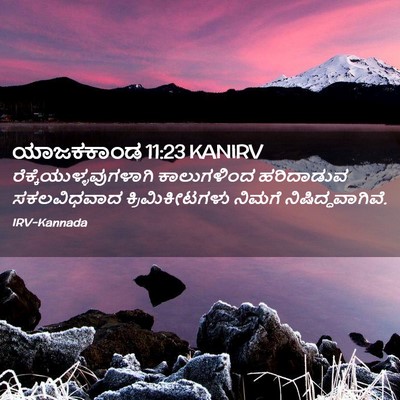 Picture 02 - ಯಾಜಕಕಾಂಡ 11:23 KANIRV -  - Bible Verse Picture