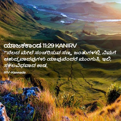 Picture 02 - ಯಾಜಕಕಾಂಡ 11:29 KANIRV - “‘ನೆಲದ ಮೇಲೆ - Bible Verse Picture