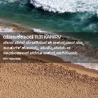 Picture 02 - ಯಾಜಕಕಾಂಡ 11:31 KANIRV - ನೆಲದ ಮೇಲೆ - Bible Verse Picture