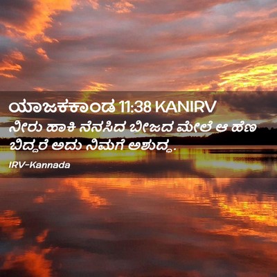 Picture 02 - ಯಾಜಕಕಾಂಡ 11:38 KANIRV - ನೀರು ಹಾಕಿ ನೆನಸಿದ - Bible Verse Picture
