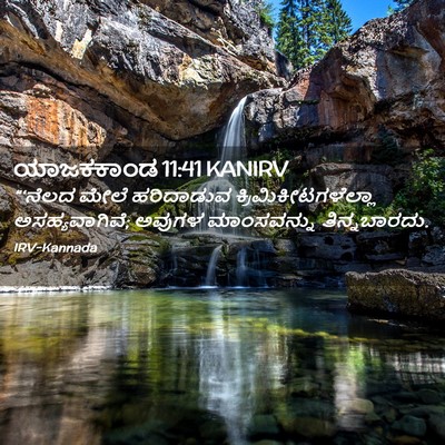 Picture 02 - ಯಾಜಕಕಾಂಡ 11:41 KANIRV - “‘ನೆಲದ ಮೇಲೆ - Bible Verse Picture