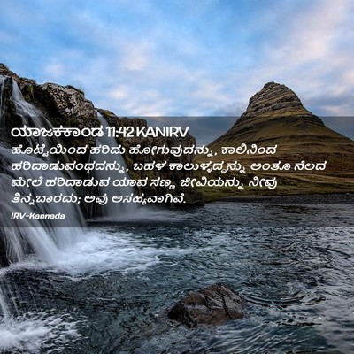 Picture 02 - ಯಾಜಕಕಾಂಡ 11:42 KANIRV - ಹೊಟ್ಟೆಯಿಂದ ಹರಿದು - Bible Verse Picture