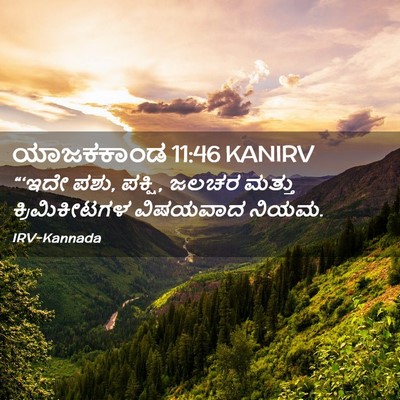 Picture 02 - ಯಾಜಕಕಾಂಡ 11:46 KANIRV - “‘ಇದೇ ಪಶು, ಪಕ್ಷಿ, - Bible Verse Picture