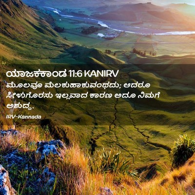 Picture 02 - ಯಾಜಕಕಾಂಡ 11:6 KANIRV - ಮೊಲವೂ - Bible Verse Picture