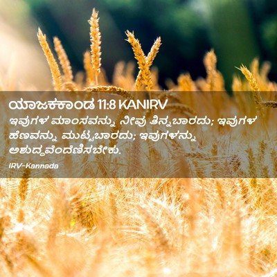 Picture 02 - ಯಾಜಕಕಾಂಡ 11:8 KANIRV - ಇವುಗಳ ಮಾಂಸವನ್ನು - Bible Verse Picture