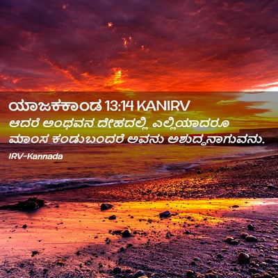 Picture 02 - ಯಾಜಕಕಾಂಡ 13:14 KANIRV - ಆದರೆ ಅಂಥವನ - Bible Verse Picture