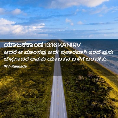 Picture 02 - ಯಾಜಕಕಾಂಡ 13:16 KANIRV - ಆದರೆ ಆ ಮಾಂಸವು ಅದೇ - Bible Verse Picture