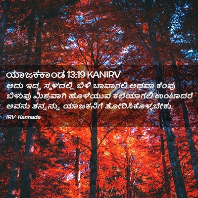 Picture 02 - ಯಾಜಕಕಾಂಡ 13:19 KANIRV - ಅದು ಇದ್ದ - Bible Verse Picture