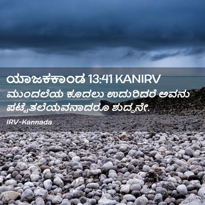 Picture 02 - ಯಾಜಕಕಾಂಡ 13:41 KANIRV - ಮುಂದಲೆಯ ಕೂದಲು - Bible Verse Picture