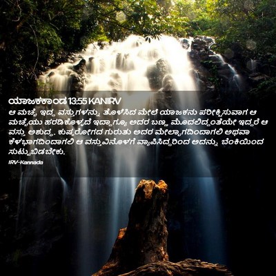 Picture 02 - ಯಾಜಕಕಾಂಡ 13:55 KANIRV - ಆ ಮಚ್ಚೆ ಇದ್ದ - Bible Verse Picture