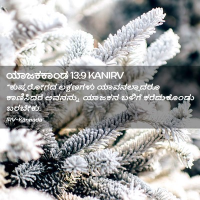 Picture 02 - ಯಾಜಕಕಾಂಡ 13:9 KANIRV - “ಕುಷ್ಠರೋಗದ - Bible Verse Picture