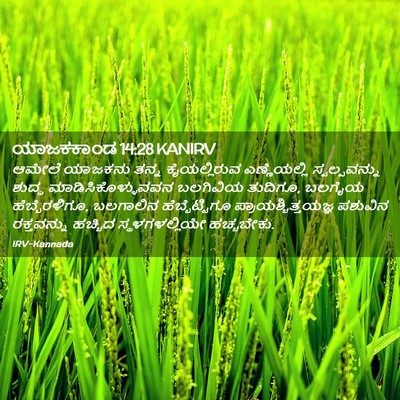 Picture 02 - ಯಾಜಕಕಾಂಡ 14:28 KANIRV - ಆಮೇಲೆ ಯಾಜಕನು ತನ್ನ - Bible Verse Picture