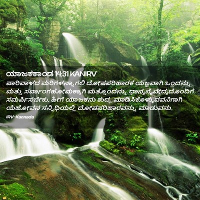 Picture 02 - ಯಾಜಕಕಾಂಡ 14:31 KANIRV - ಪಾರಿವಾಳದ - Bible Verse Picture