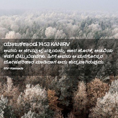 Picture 02 - ಯಾಜಕಕಾಂಡ 14:53 KANIRV - ಅವನು ಆ ಜೀವವುಳ್ಳ - Bible Verse Picture