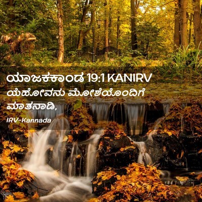 Picture 02 - ಯಾಜಕಕಾಂಡ 19:1 KANIRV - ಯೆಹೋವನು - Bible Verse Picture