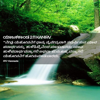 Picture 02 - ಯಾಜಕಕಾಂಡ 2:11 KANIRV - “‘ನೀವು ಯೆಹೋವನಿಗೆ - Bible Verse Picture