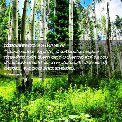Picture 02 - ಯಾಜಕಕಾಂಡ 20:6 KANIRV - “‘ಯಾವನಾದರೂ - Bible Verse Picture