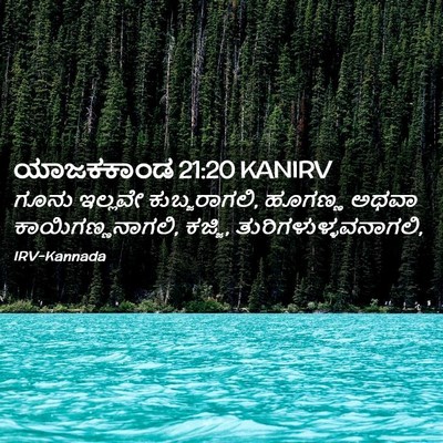 Picture 02 - ಯಾಜಕಕಾಂಡ 21:20 KANIRV - ಗೂನು ಇಲ್ಲವೇ - Bible Verse Picture