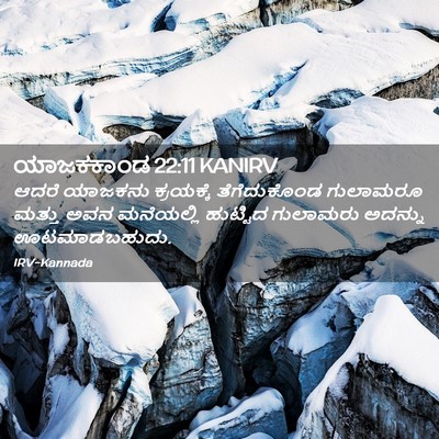 Picture 02 - ಯಾಜಕಕಾಂಡ 22:11 KANIRV - ಆದರೆ ಯಾಜಕನು - Bible Verse Picture