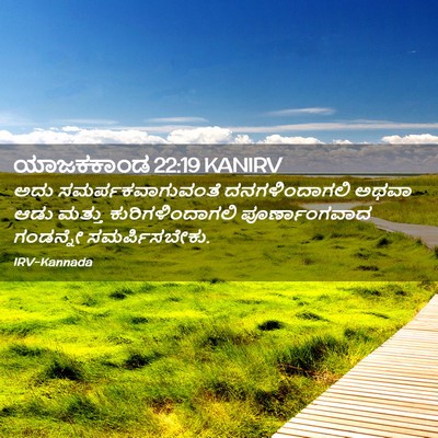 Picture 02 - ಯಾಜಕಕಾಂಡ 22:19 KANIRV - ಅದು - Bible Verse Picture