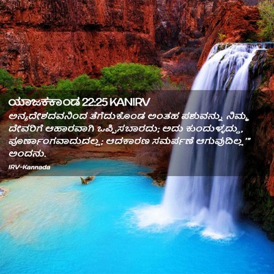 Picture 02 - ಯಾಜಕಕಾಂಡ 22:25 KANIRV - ಅನ್ಯದೇಶದವನಿಂದ - Bible Verse Picture