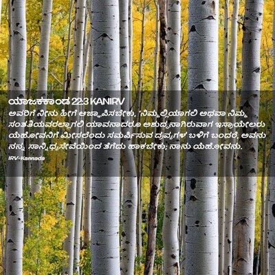 Picture 02 - ಯಾಜಕಕಾಂಡ 22:3 KANIRV - ಅವರಿಗೆ ನೀನು ಹೀಗೆ - Bible Verse Picture