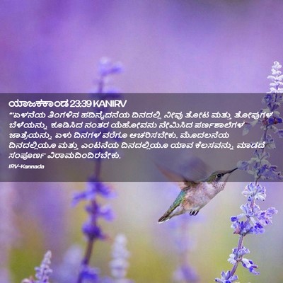 Picture 02 - ಯಾಜಕಕಾಂಡ 23:39 KANIRV - “‘ಏಳನೆಯ ತಿಂಗಳಿನ - Bible Verse Picture