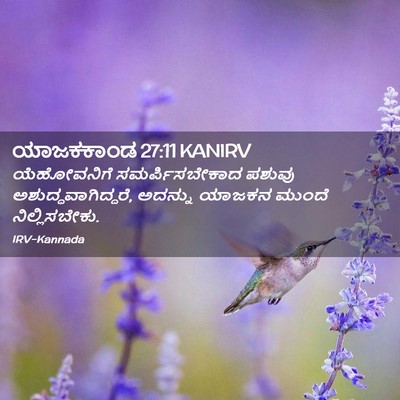 Picture 02 - ಯಾಜಕಕಾಂಡ 27:11 KANIRV - ಯೆಹೋವನಿಗೆ - Bible Verse Picture