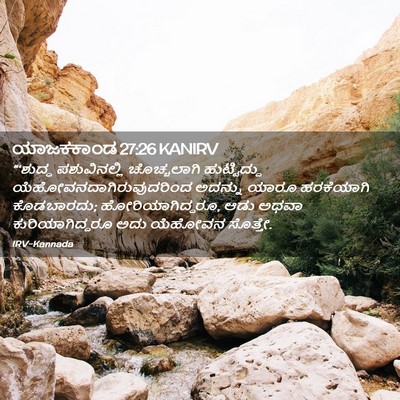 Picture 02 - ಯಾಜಕಕಾಂಡ 27:26 KANIRV - “‘ಶುದ್ಧ - Bible Verse Picture