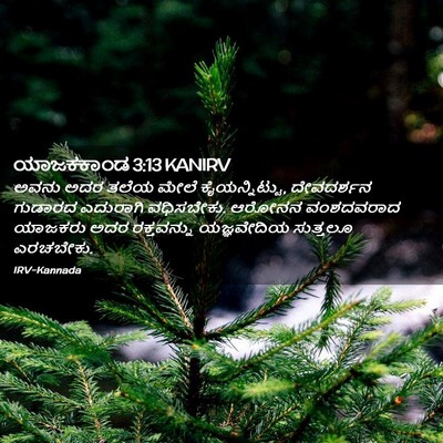 Picture 02 - ಯಾಜಕಕಾಂಡ 3:13 KANIRV - ಅವನು ಅದರ ತಲೆಯ ಮೇಲೆ - Bible Verse Picture