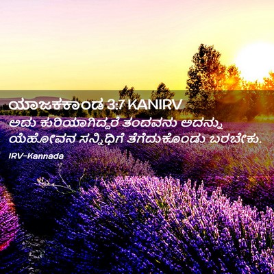 Picture 02 - ಯಾಜಕಕಾಂಡ 3:7 KANIRV - ಅದು ಕುರಿಯಾಗಿದ್ದರೆ - Bible Verse Picture