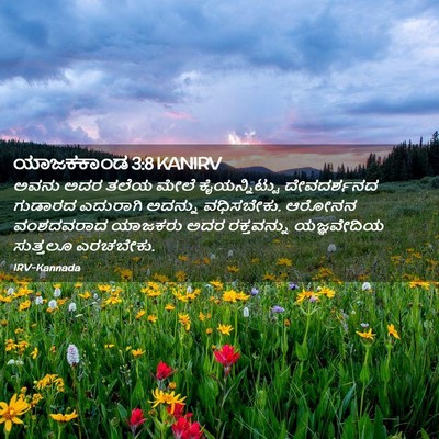 Picture 02 - ಯಾಜಕಕಾಂಡ 3:8 KANIRV - ಅವನು ಅದರ ತಲೆಯ ಮೇಲೆ - Bible Verse Picture