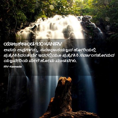 Picture 02 - ಯಾಜಕಕಾಂಡ 4:10 KANIRV - ಅವನು ಅವುಗಳನ್ನು - Bible Verse Picture