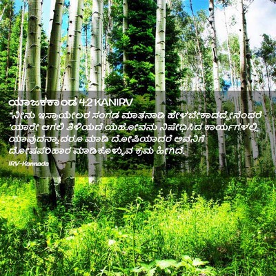 Picture 02 - ಯಾಜಕಕಾಂಡ 4:2 KANIRV - “ನೀನು ಇಸ್ರಾಯೇಲರ - Bible Verse Picture