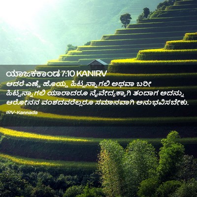 Picture 02 - ಯಾಜಕಕಾಂಡ 7:10 KANIRV - ಆದರೆ ಎಣ್ಣೆ ಹೊಯ್ದ - Bible Verse Picture