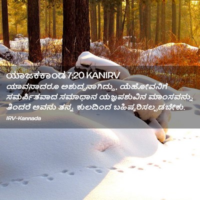 Picture 02 - ಯಾಜಕಕಾಂಡ 7:20 KANIRV - ಯಾವನಾದರೂ - Bible Verse Picture