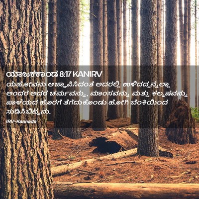 Picture 02 - ಯಾಜಕಕಾಂಡ 8:17 KANIRV - ಯೆಹೋವನು - Bible Verse Picture