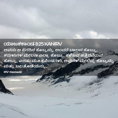 Picture 02 - ಯಾಜಕಕಾಂಡ 8:25 KANIRV - ಅವನು ಆ ಟಗರಿನ - Bible Verse Picture