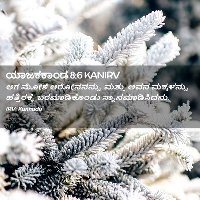 Picture 02 - ಯಾಜಕಕಾಂಡ 8:6 KANIRV - ಆಗ ಮೋಶೆ ಆರೋನನನ್ನು - Bible Verse Picture