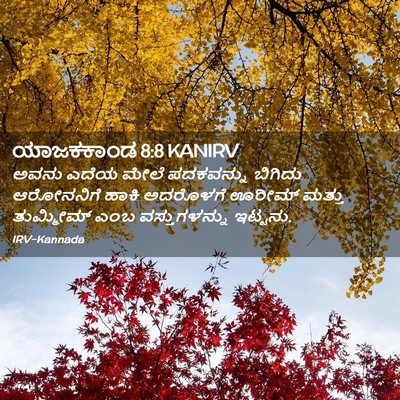Picture 02 - ಯಾಜಕಕಾಂಡ 8:8 KANIRV - ಅವನು ಎದೆಯ ಮೇಲೆ - Bible Verse Picture