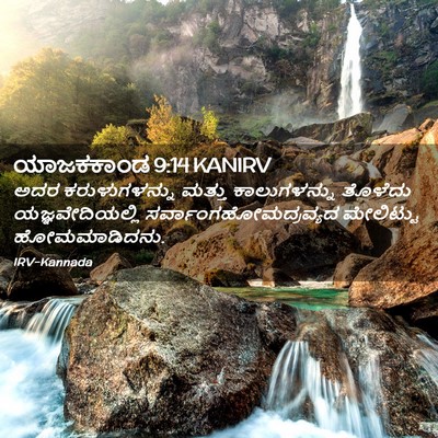 Picture 02 - ಯಾಜಕಕಾಂಡ 9:14 KANIRV - ಅದರ ಕರುಳುಗಳನ್ನು - Bible Verse Picture