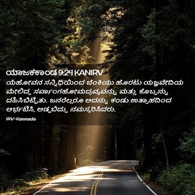 Picture 02 - ಯಾಜಕಕಾಂಡ 9:24 KANIRV - ಯೆಹೋವನ - Bible Verse Picture